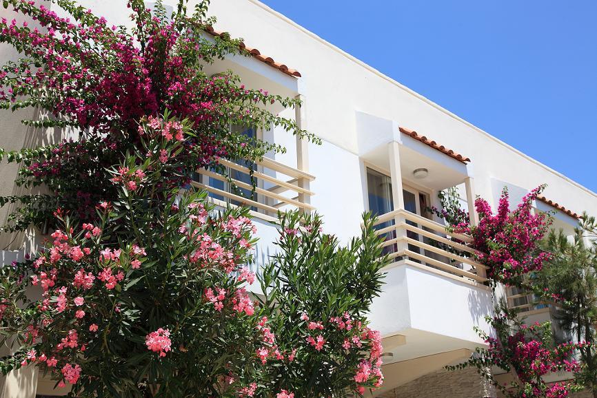 Hotel Delfi Spa&wellness Center Bodrum
