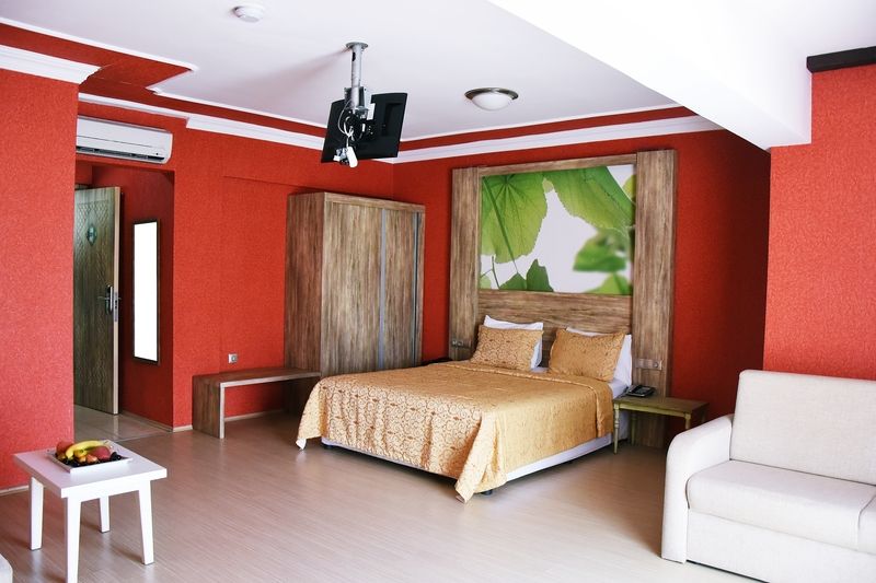 Delfi Spa&wellness Center 2*