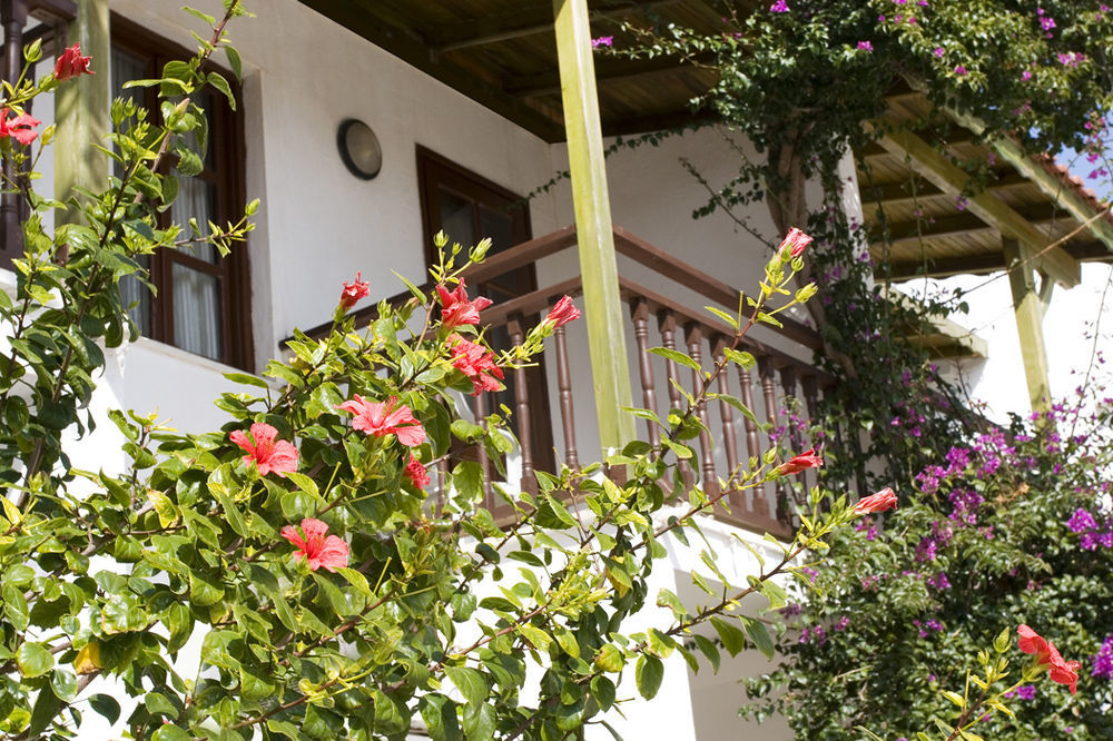 Hotel Delfi Spa&wellness Center 2*